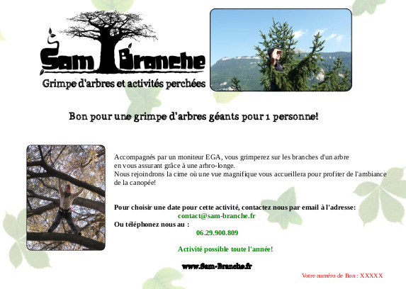offrir une séance de grimpe d'arbres