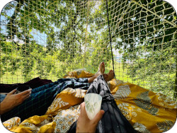 s'endormir entre les feuilles des arbres